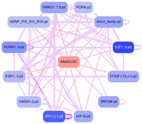 PNG image of the network