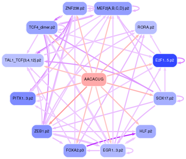 PNG image of the network
