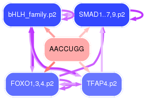 PNG image of the network