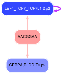 PNG image of the network
