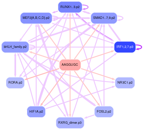 PNG image of the network