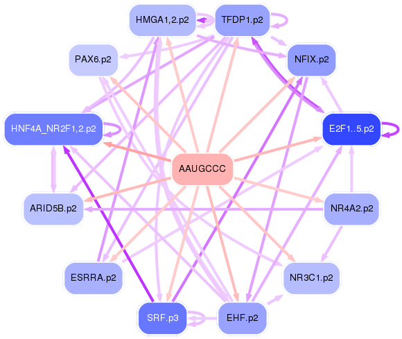 PNG image of the network