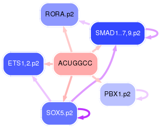 PNG image of the network