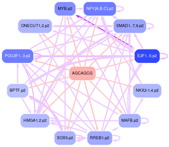 PNG image of the network
