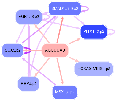 PNG image of the network