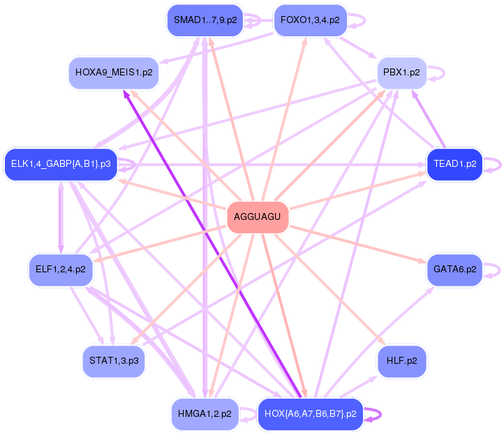 PNG image of the network