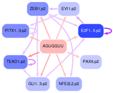 PNG image of the network