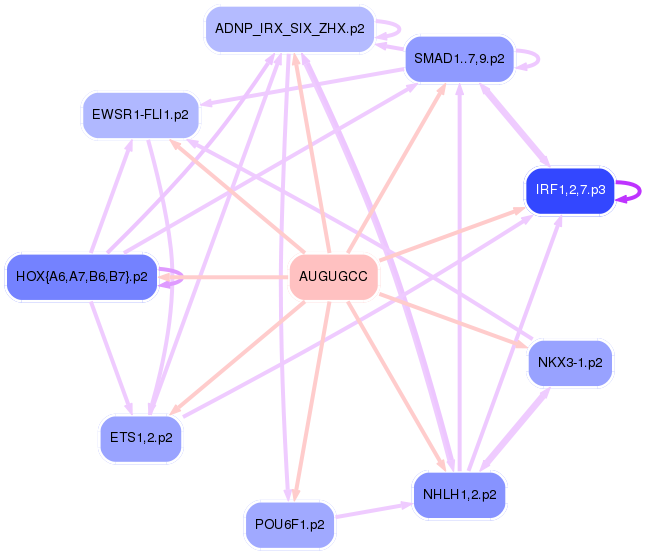 PNG image of the network
