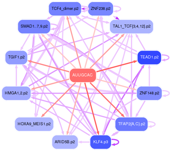 PNG image of the network