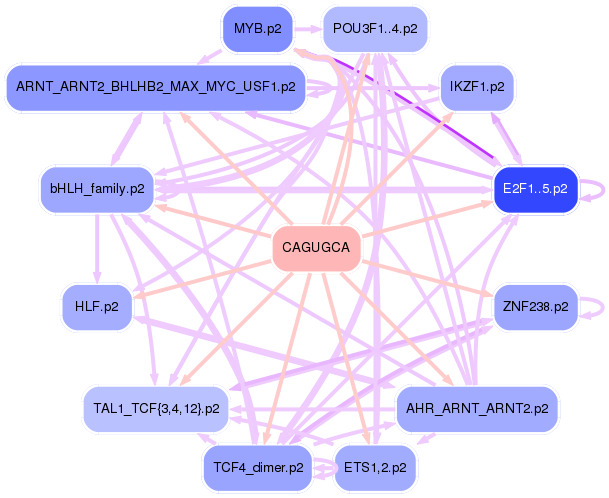PNG image of the network