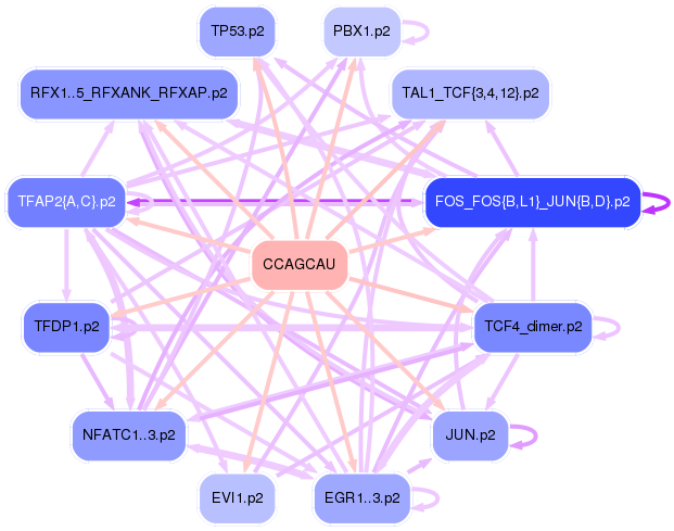 PNG image of the network