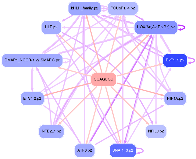 PNG image of the network