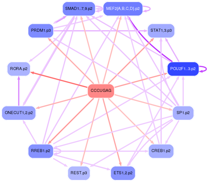 PNG image of the network
