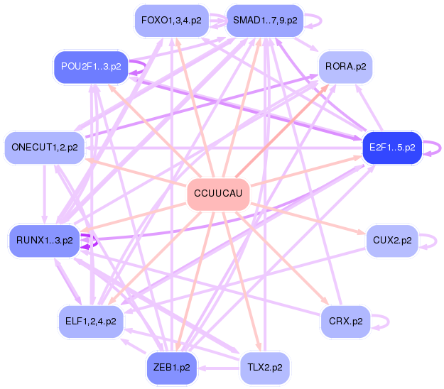 PNG image of the network