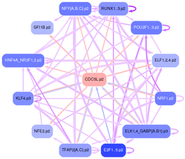 PNG image of the network