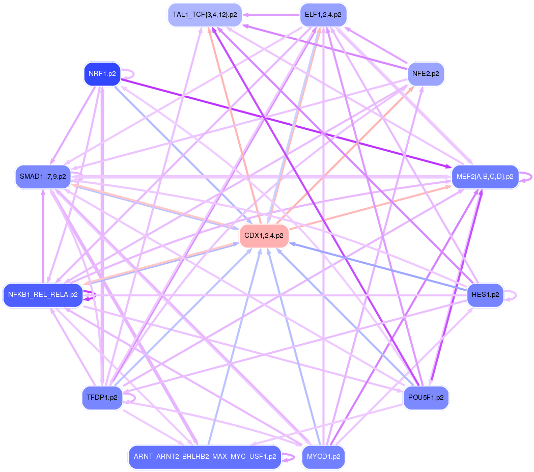 PNG image of the network