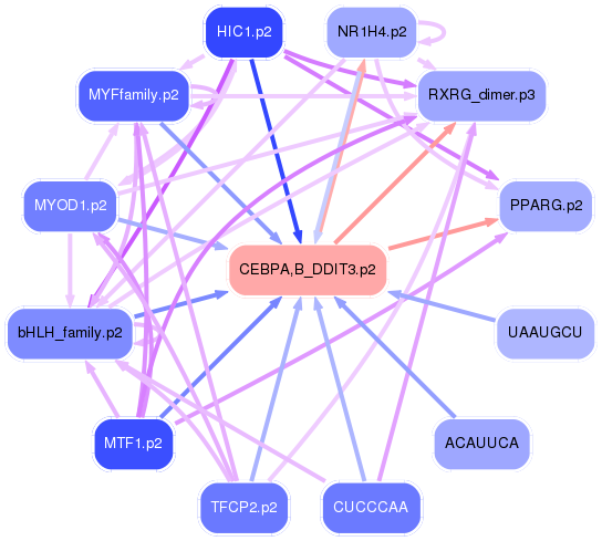 PNG image of the network