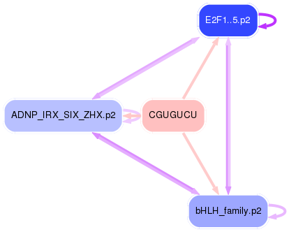PNG image of the network