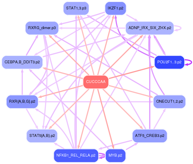PNG image of the network