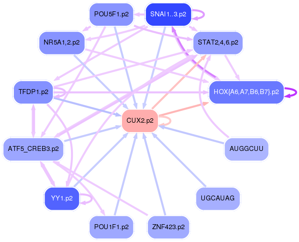 PNG image of the network