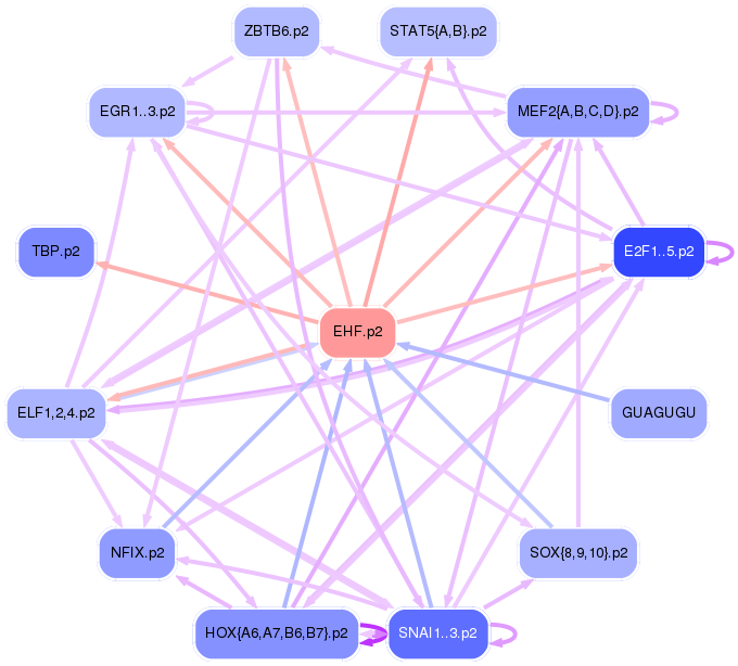 PNG image of the network