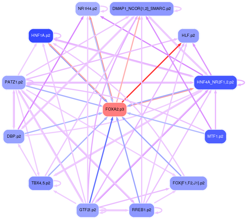 PNG image of the network