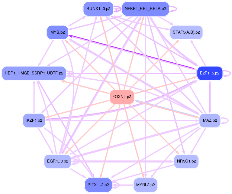 PNG image of the network