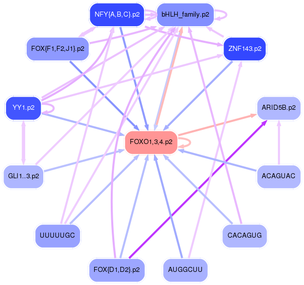 PNG image of the network