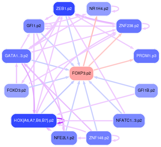 PNG image of the network