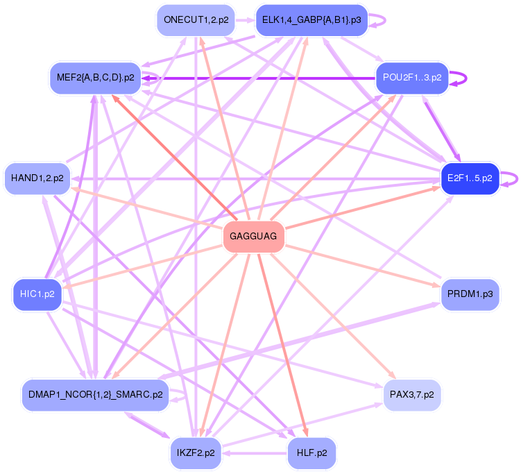PNG image of the network