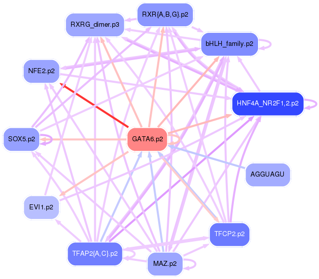 PNG image of the network
