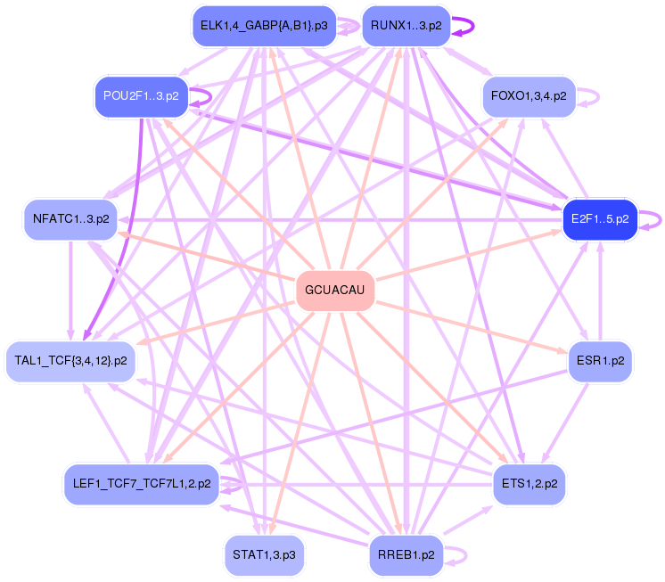 PNG image of the network