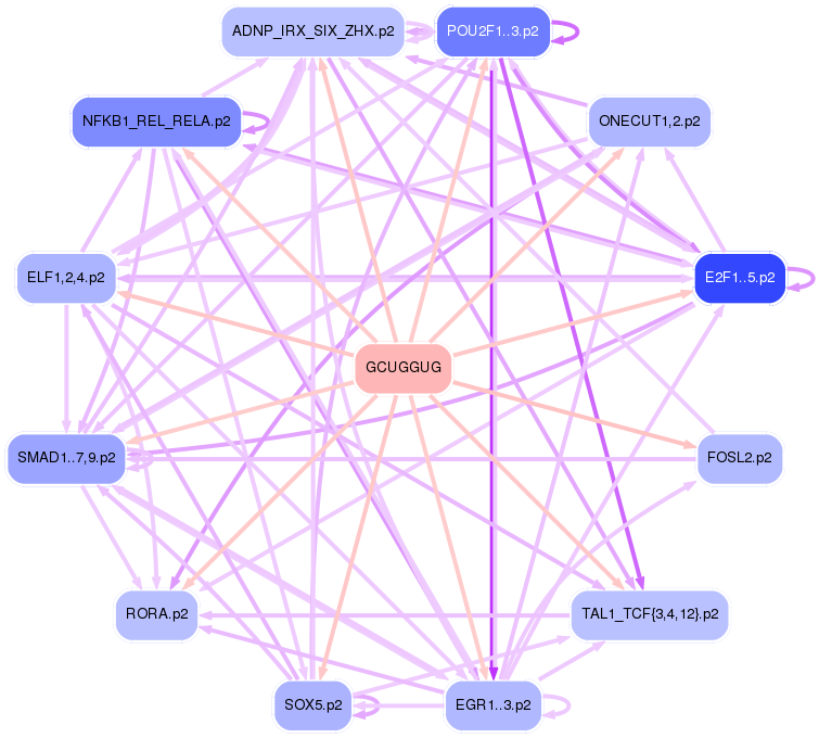 PNG image of the network