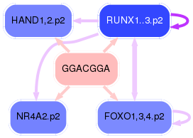 PNG image of the network