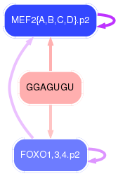 PNG image of the network