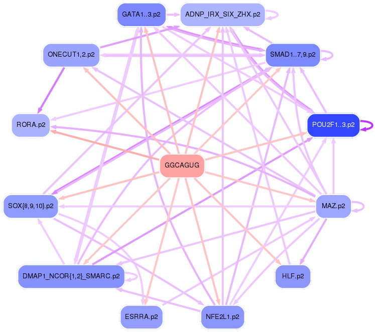 PNG image of the network