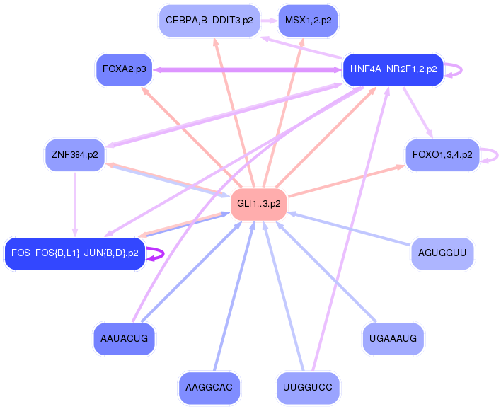 PNG image of the network
