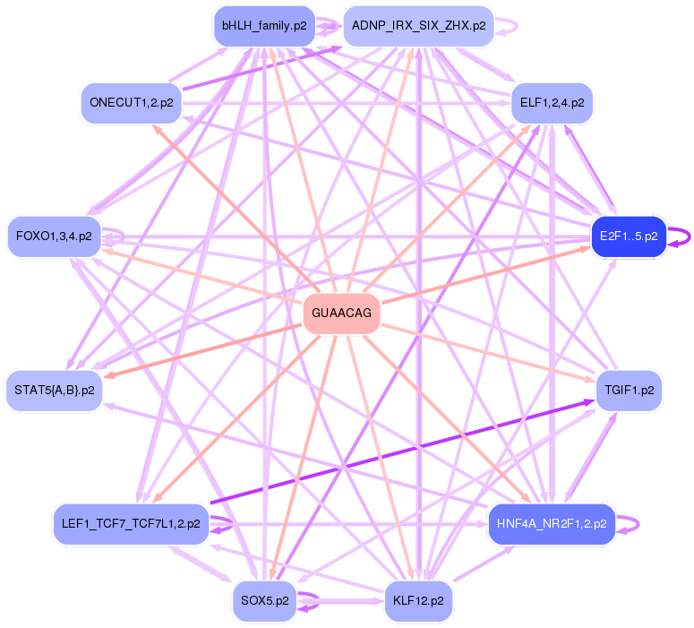 PNG image of the network