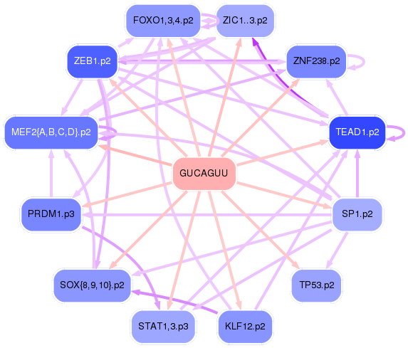 PNG image of the network