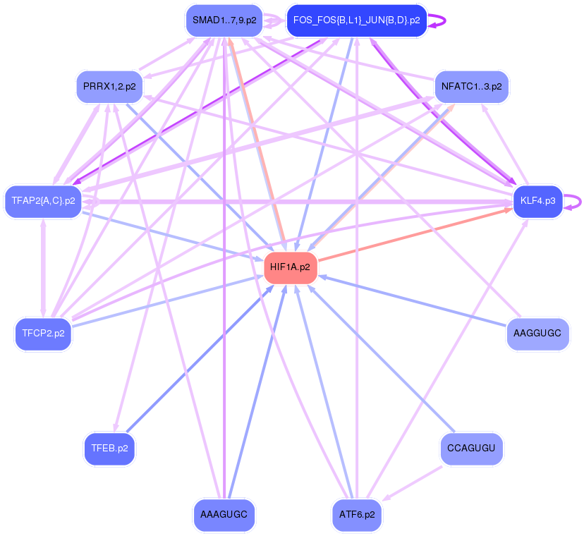 PNG image of the network