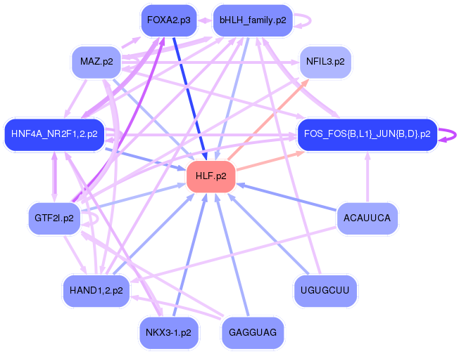 PNG image of the network