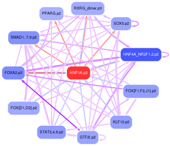 PNG image of the network