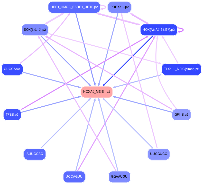 PNG image of the network