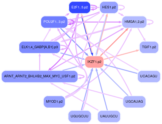 PNG image of the network