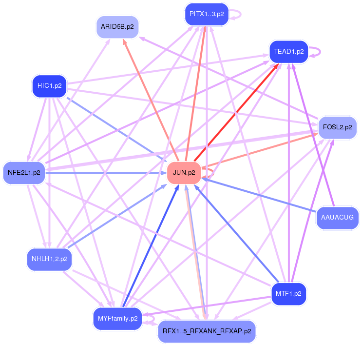 PNG image of the network