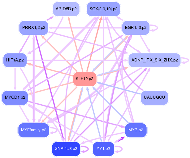 PNG image of the network