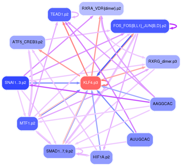 PNG image of the network