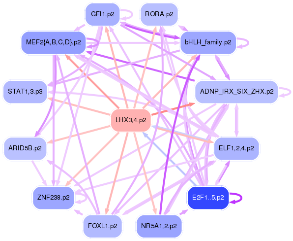 PNG image of the network