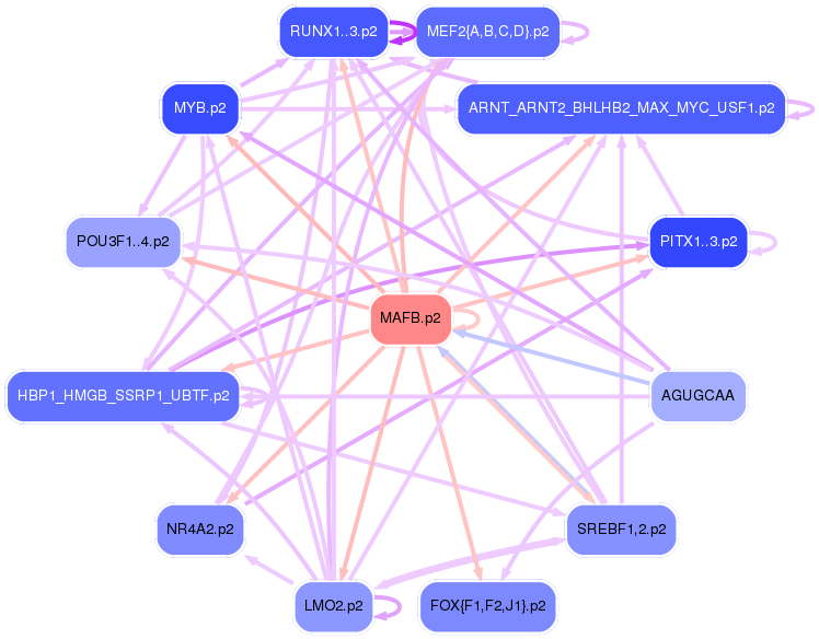 PNG image of the network