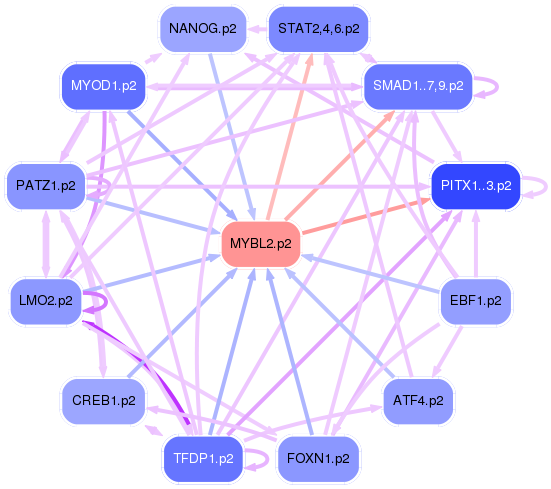PNG image of the network